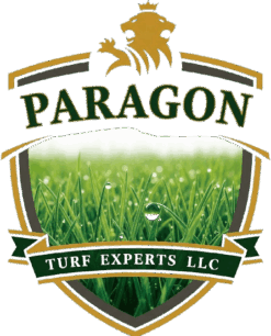Paragon Turf Experts